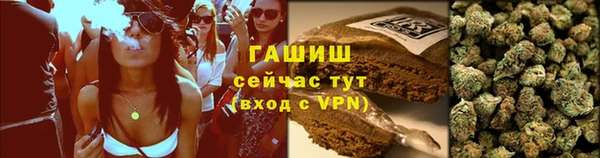 спайс Калининец