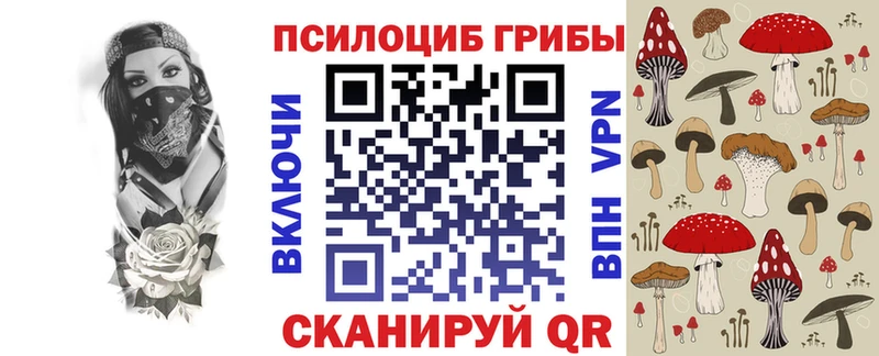 Псилоцибиновые грибы мухоморы  Александровское 